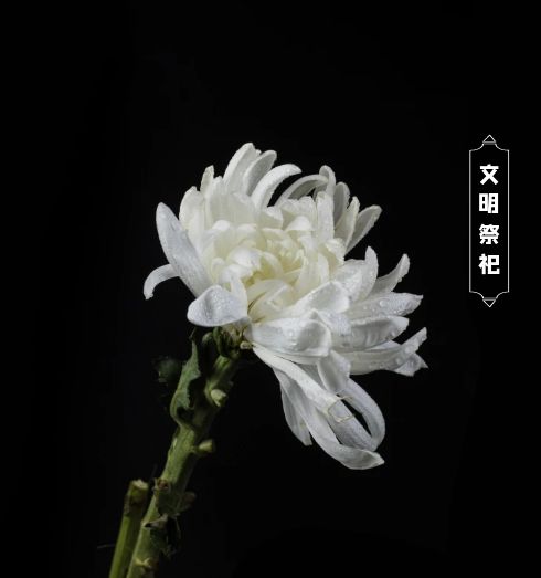 网上祭祀